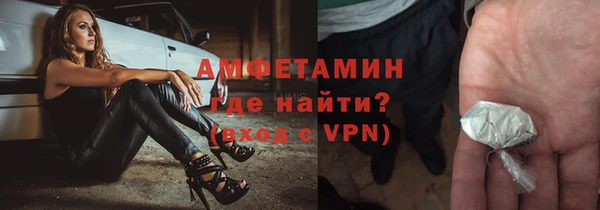 шишки Аркадак