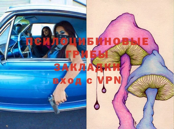 мдпв Армянск