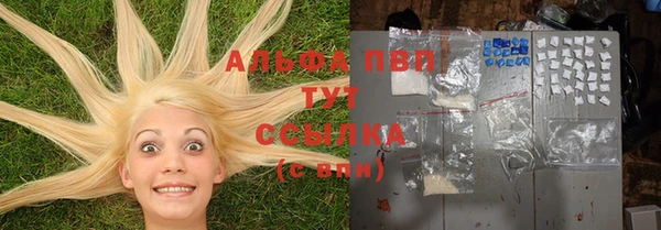 spice Арсеньев