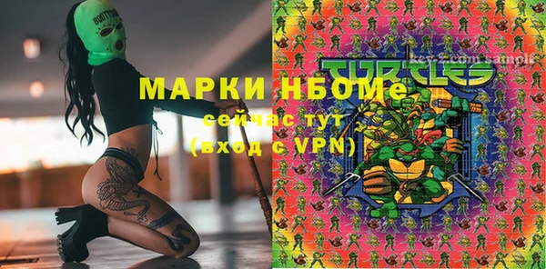 шишки Аркадак