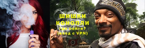 шишки Аркадак