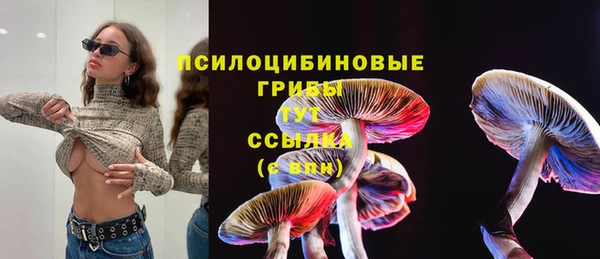 spice Арсеньев