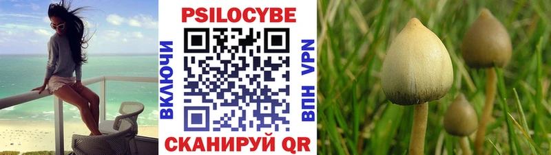 Галлюциногенные грибы мухоморы цены наркотик Старый Крым